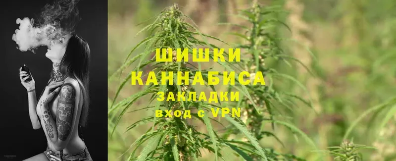 Конопля SATIVA & INDICA  Апатиты 